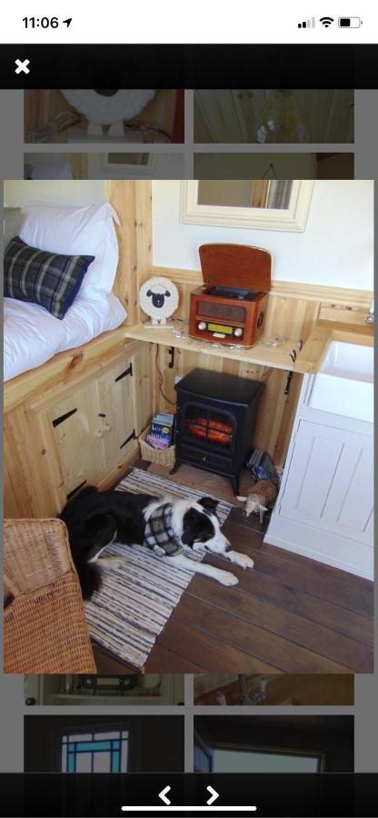Sheepwash Shepherds Hut Bebside Экстерьер фото
